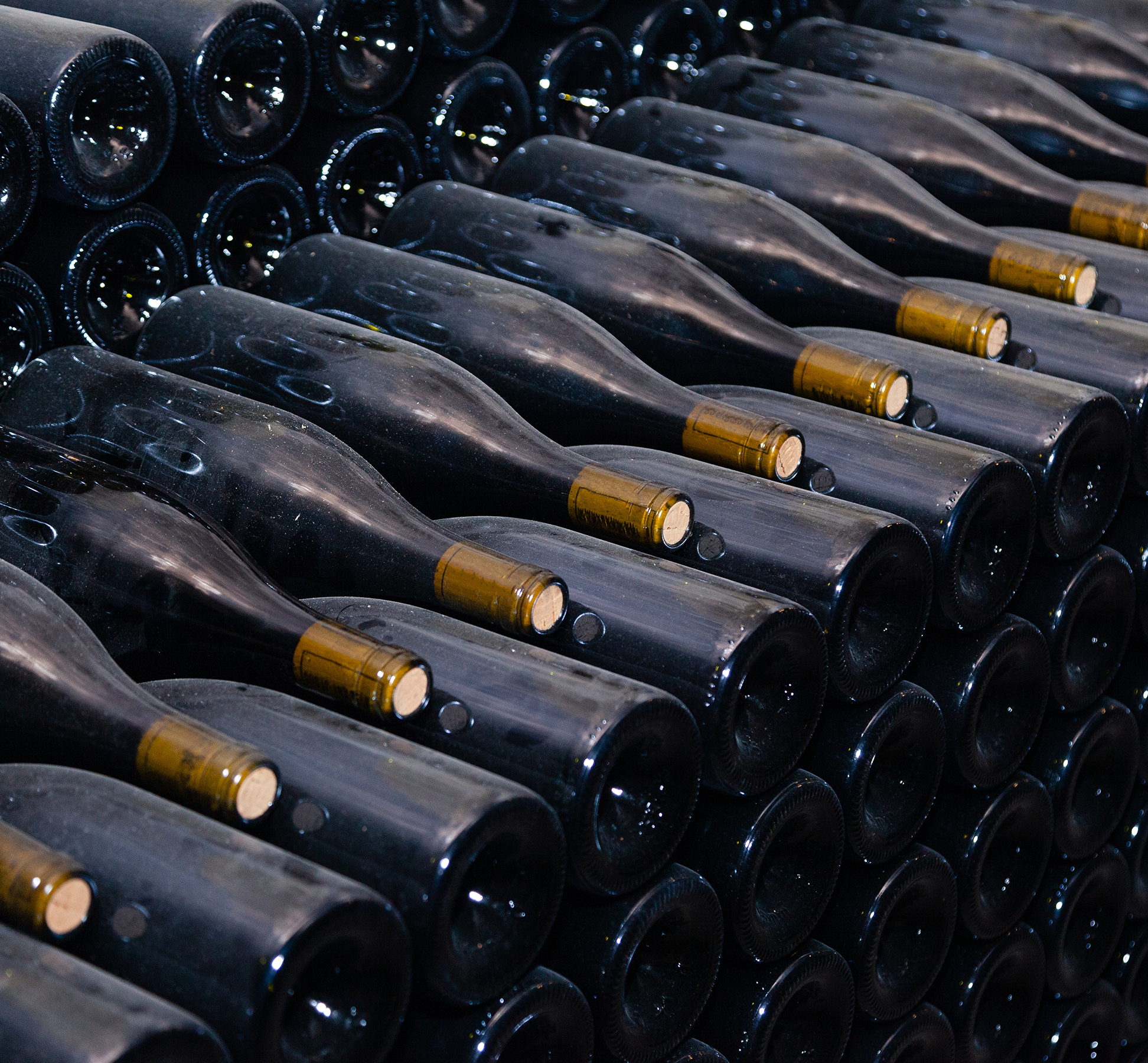 Cave à vin près de Plonéour-Lanvern